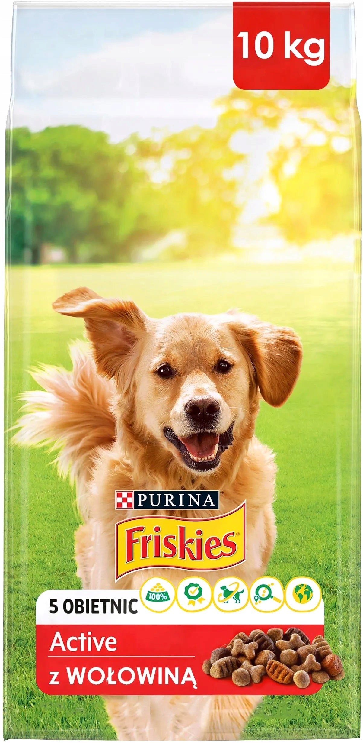 PURINA Friskies Active dry dog food 10kg
