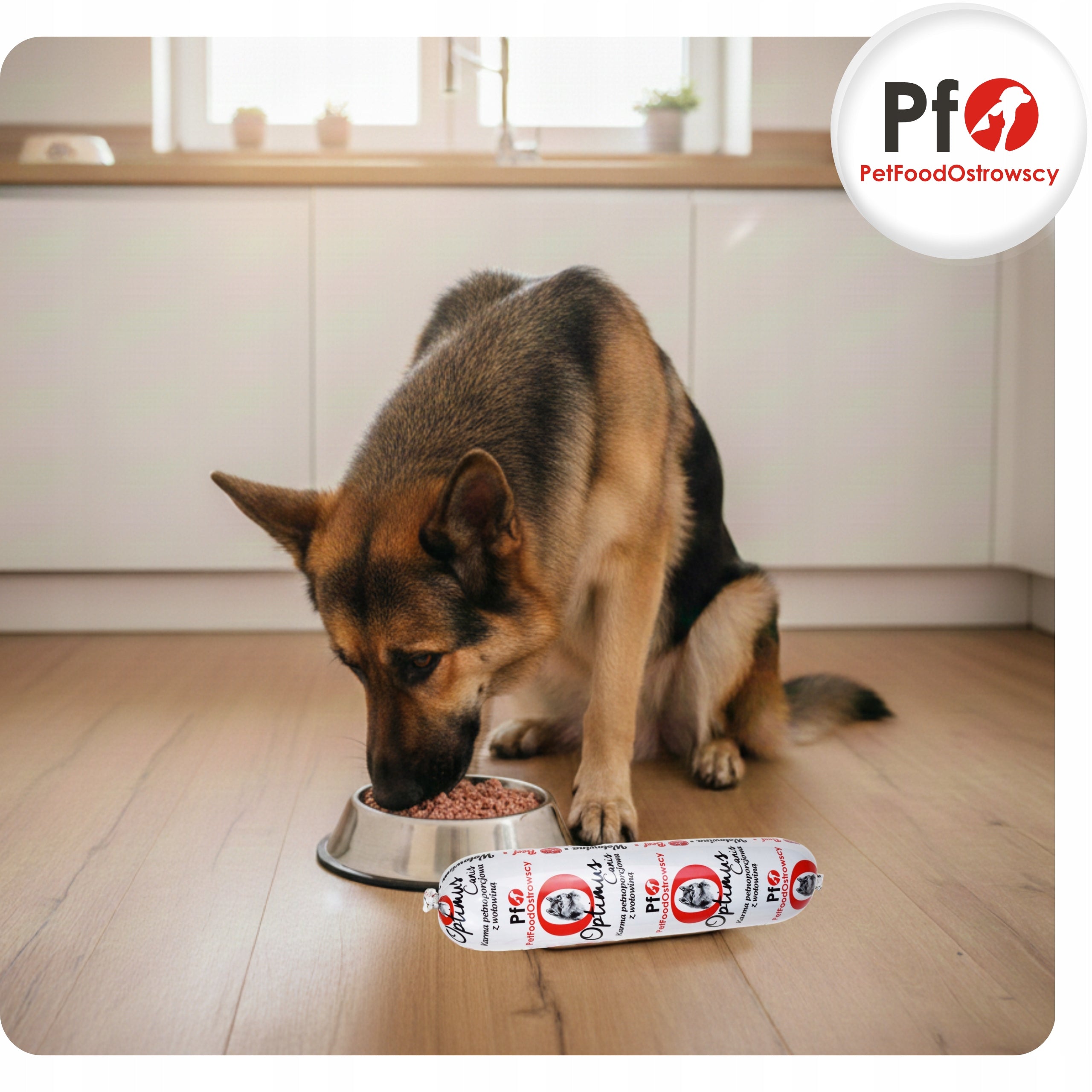 Package Wet Food Optimus Canis 10x900g Meat Bar for Adult Dogs Brand PetFoodOstrowscy