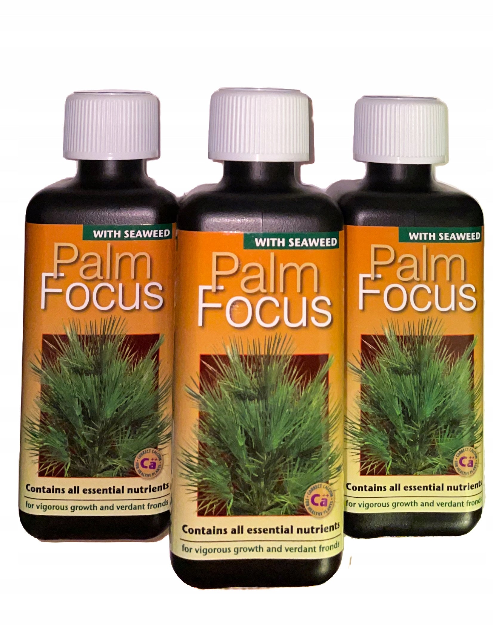 Palm Fertilizer PALM FOCUS 300ml Growth Technology perfectly balanced Manufacturer Growth Technology