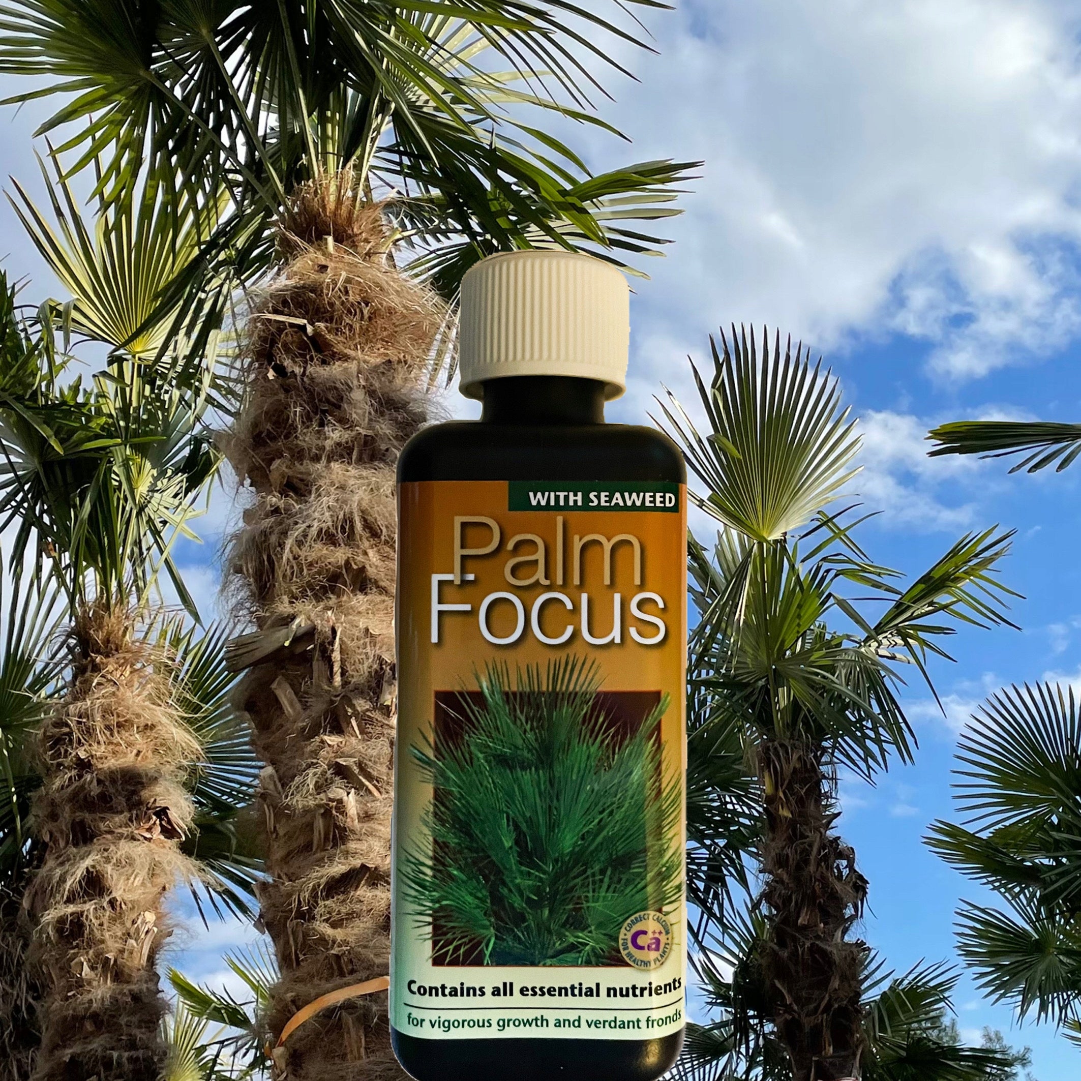 Palm Fertilizer PALM FOCUS 300ml Growth Technology perfectly balanced Manufacturer code Palm Focus 300ml