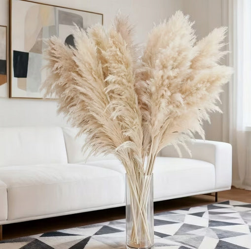 Pampas Grass Beige XL 120 cm 1 pc Natural Dried Premium BOHO Deko Manufacturer no brand