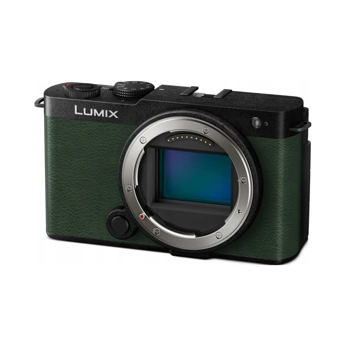 Panasonic DC-S9E-G Full Frame Mirrorless Lumix Camera