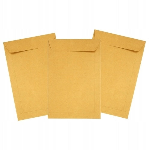 Paper Envelopes Letter Brown C3 250pcs HK