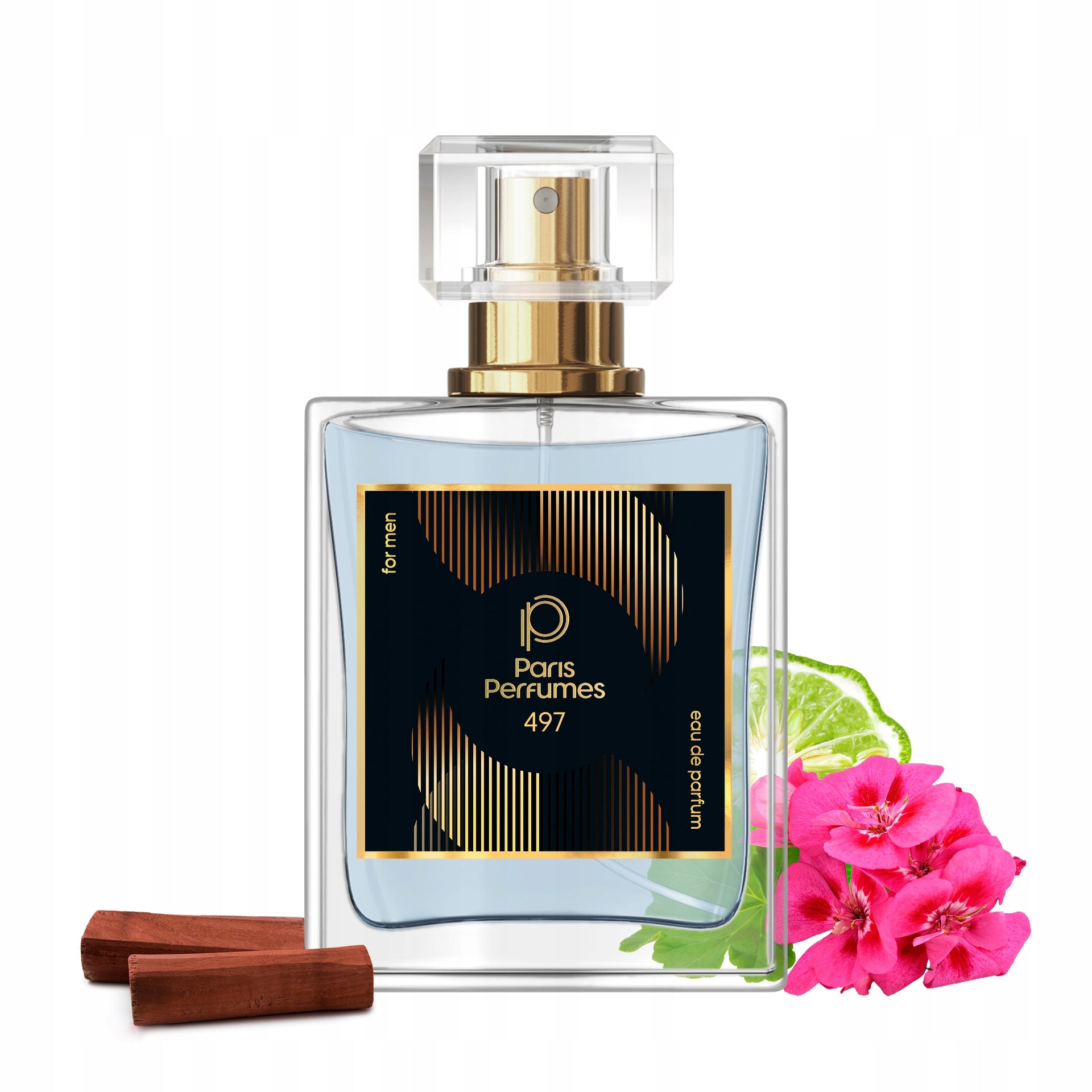 Paris Perfumes N° 497 25% - 50ml | Male | Amber, Woody, Spicy
