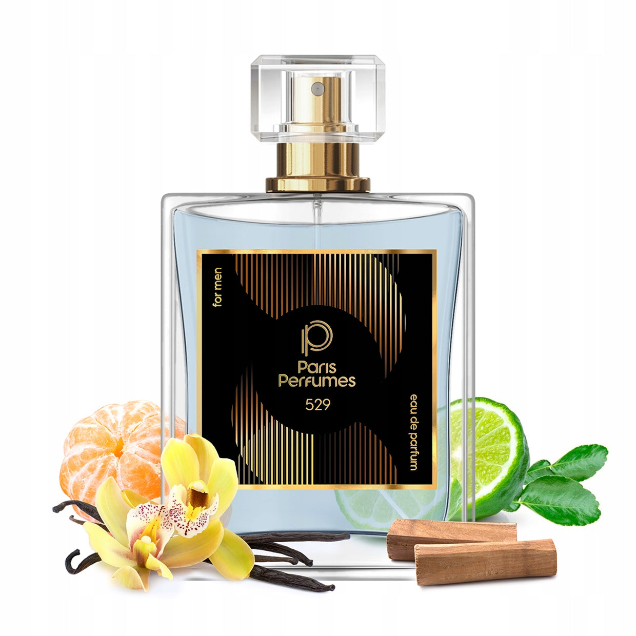 Paris Perfumes N° 529 21% - 104ml | Men's | woody, musky, sweet