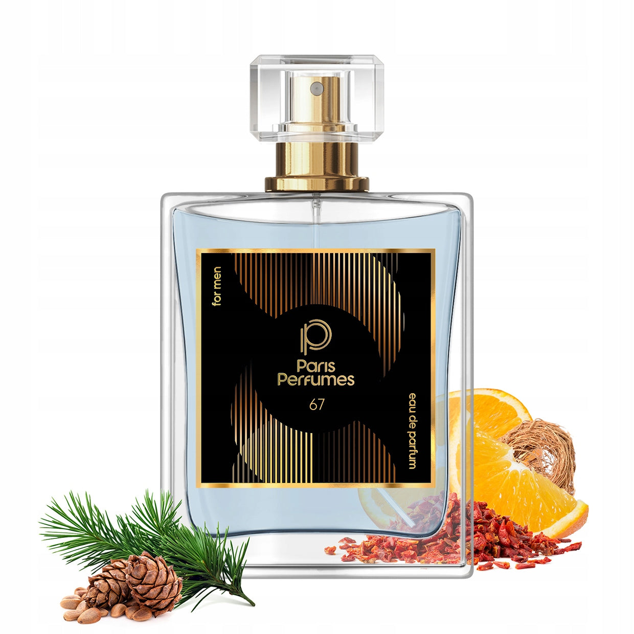 Paris Perfumes N° 67 21% - 104ml | Male | Citrus, Woody