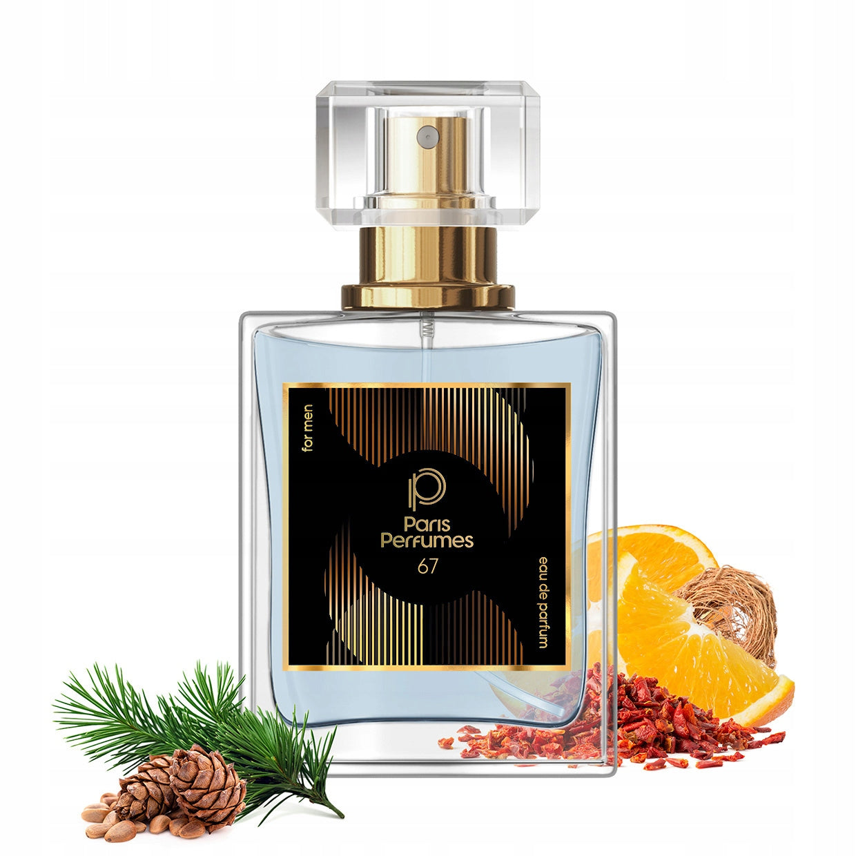 Paris Perfumes N° 67 21% - 30ml | Men's | Citrus, Woody