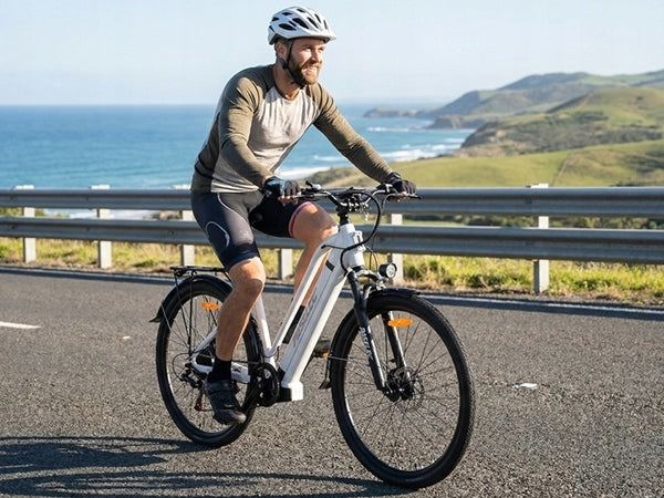 Paselec TX10 Electric Bike for adult 250W 48V 15.6Ah 25KM/H 80KM 28“ LCD EU Model 250W 48V 15.6Ah 25KM/H 80KM 28“ Paselec TX10 PL