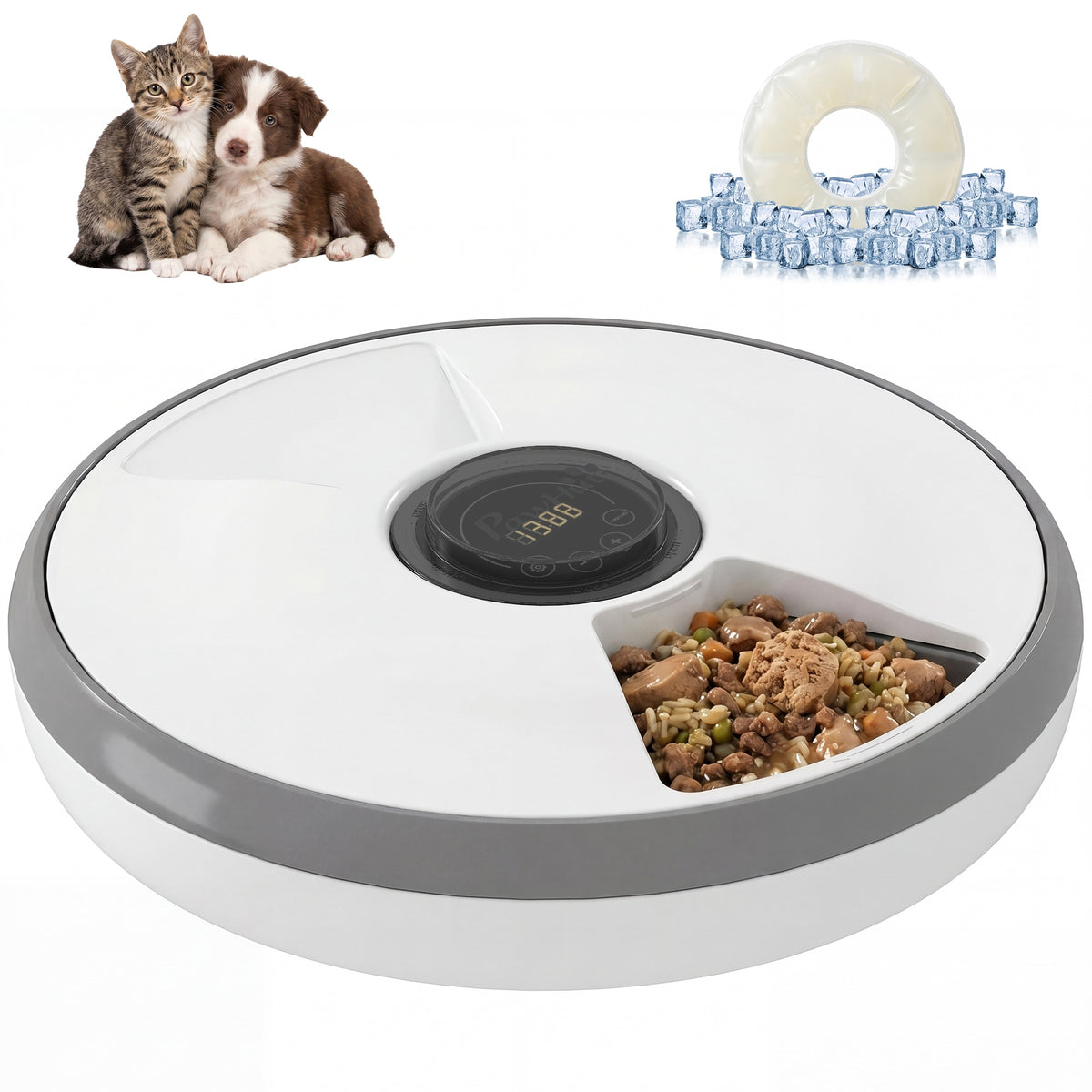 PawHut Feed feeder, automatic, wireless, timer and display