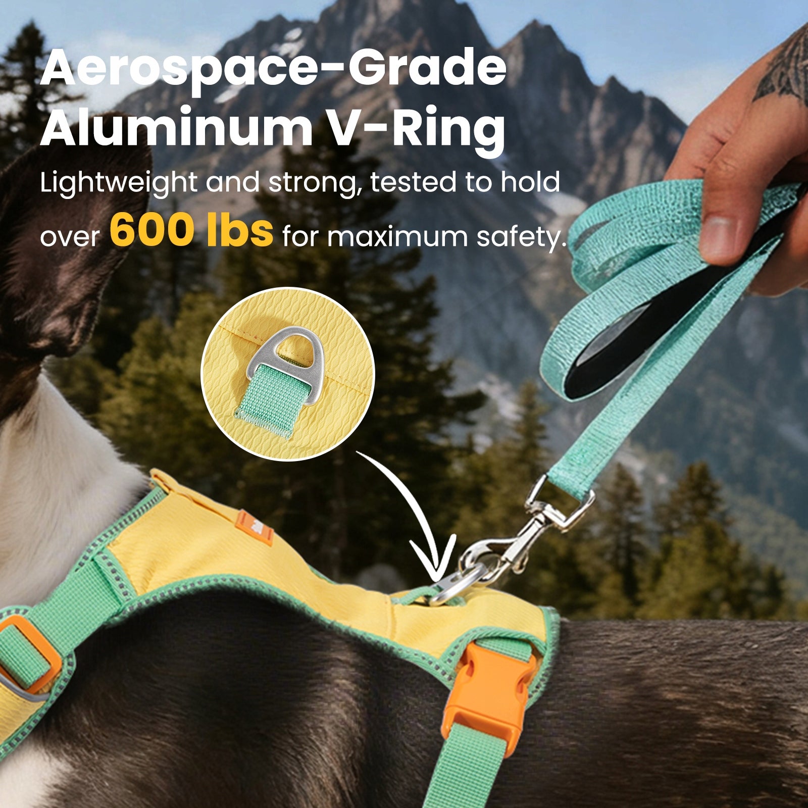PawView PRESSURE-FREE DOG HARNESS ADJUSTABLE LIGHTWEIGHT with QR ID XS Brand PawView