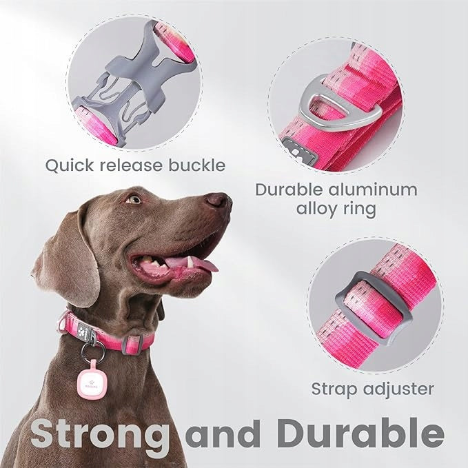 Pawaii Collar Dog S Pink Reflector Manufacturer code 2
