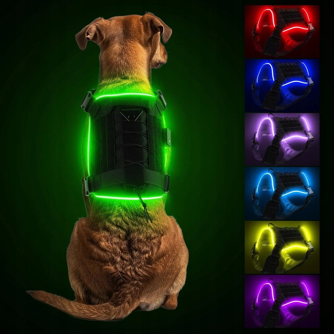 PcEoTllar Glowing Dog Harness with Rechargeable Battery, 7 Colors 8 Modes