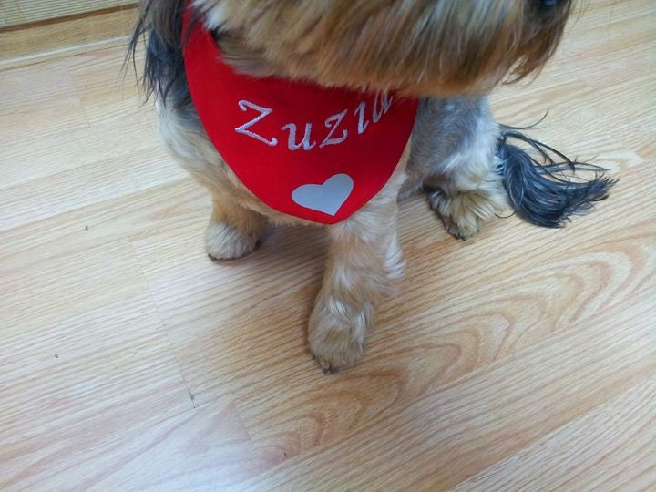 Pelo SCARF BANDANA embroidery name FREEBIE R-1 Color multicolor