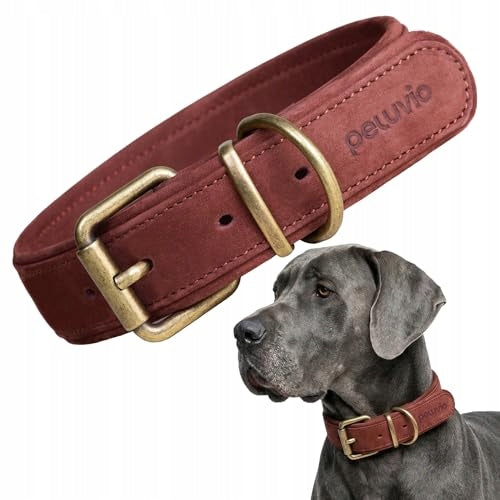 Peluvio Rexor Leather Collar Xl 53-63 cm Brown