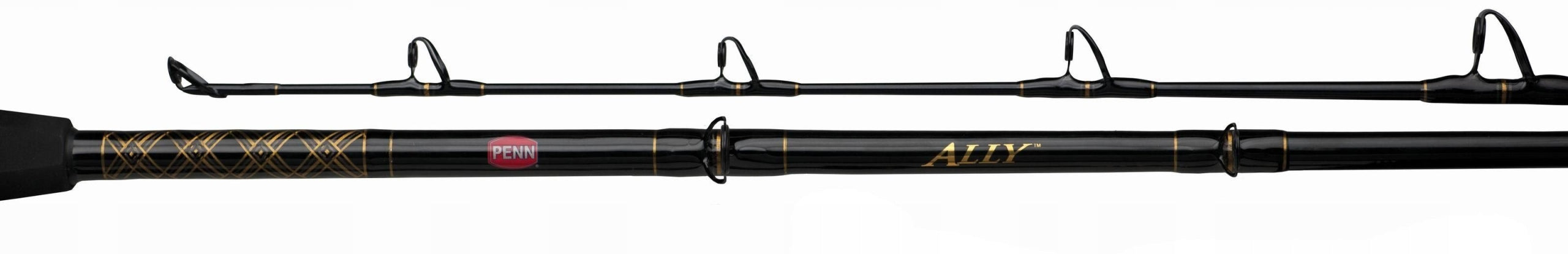 Penn Ally Boat 1,82m 30-80lb