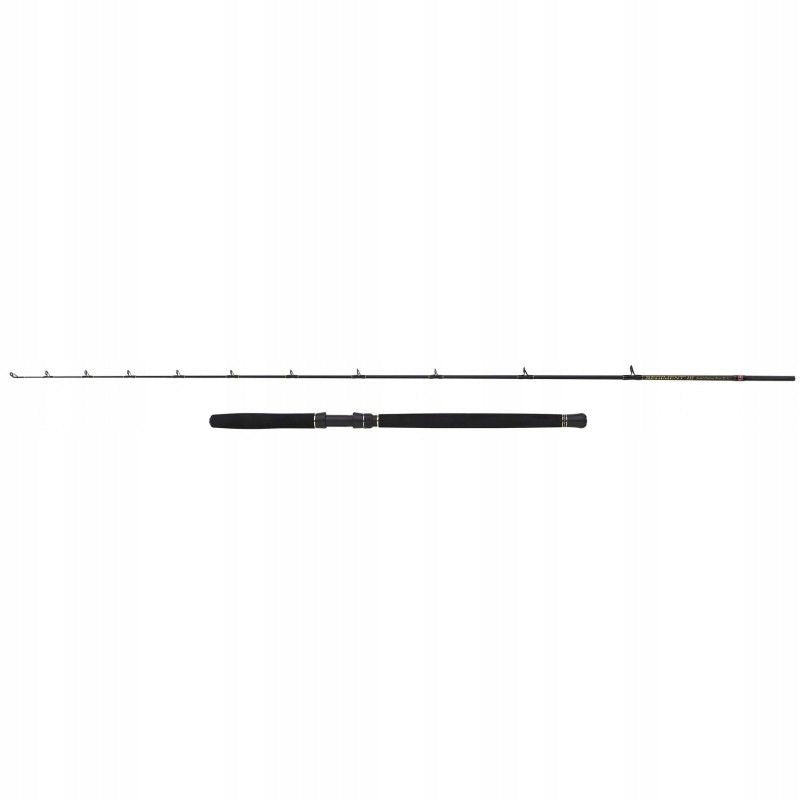 Penn Regiment III 240cm 20-30lb Spin Rod