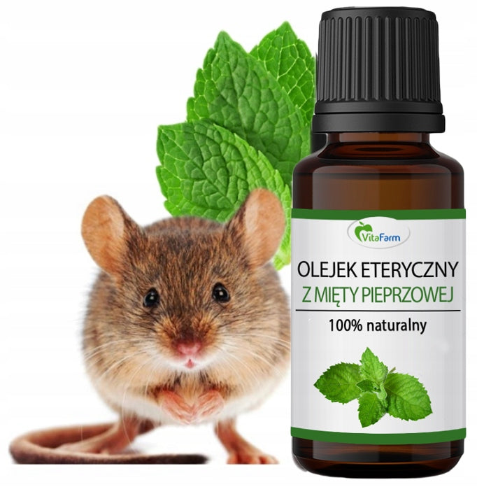 Peppermint oil for mice rodents NATURAL ethereal
