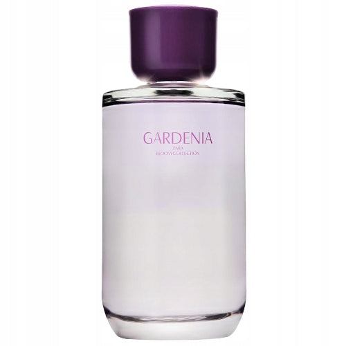 Perfume Zara Gardenia Eau De Perfume 180ml Original BEAUTIFUL Manufacturer code 32631