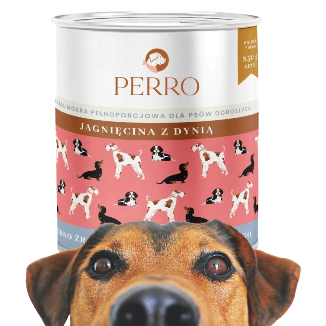 Perro Lamb with pumpkin wet food for dogs 800g