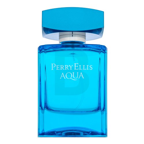 Perry Ellis Aqua toaletní voda pro muže 100 ml