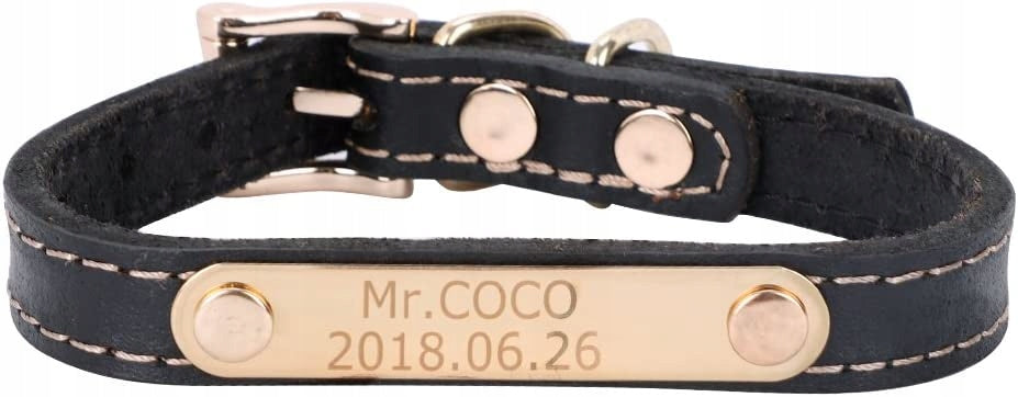 Personalized Dog Necklace in Truth