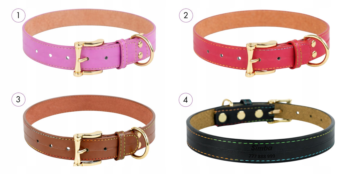 Personalized dog collar COLORS adjustable leather with ENGRAVING L Packaging status original