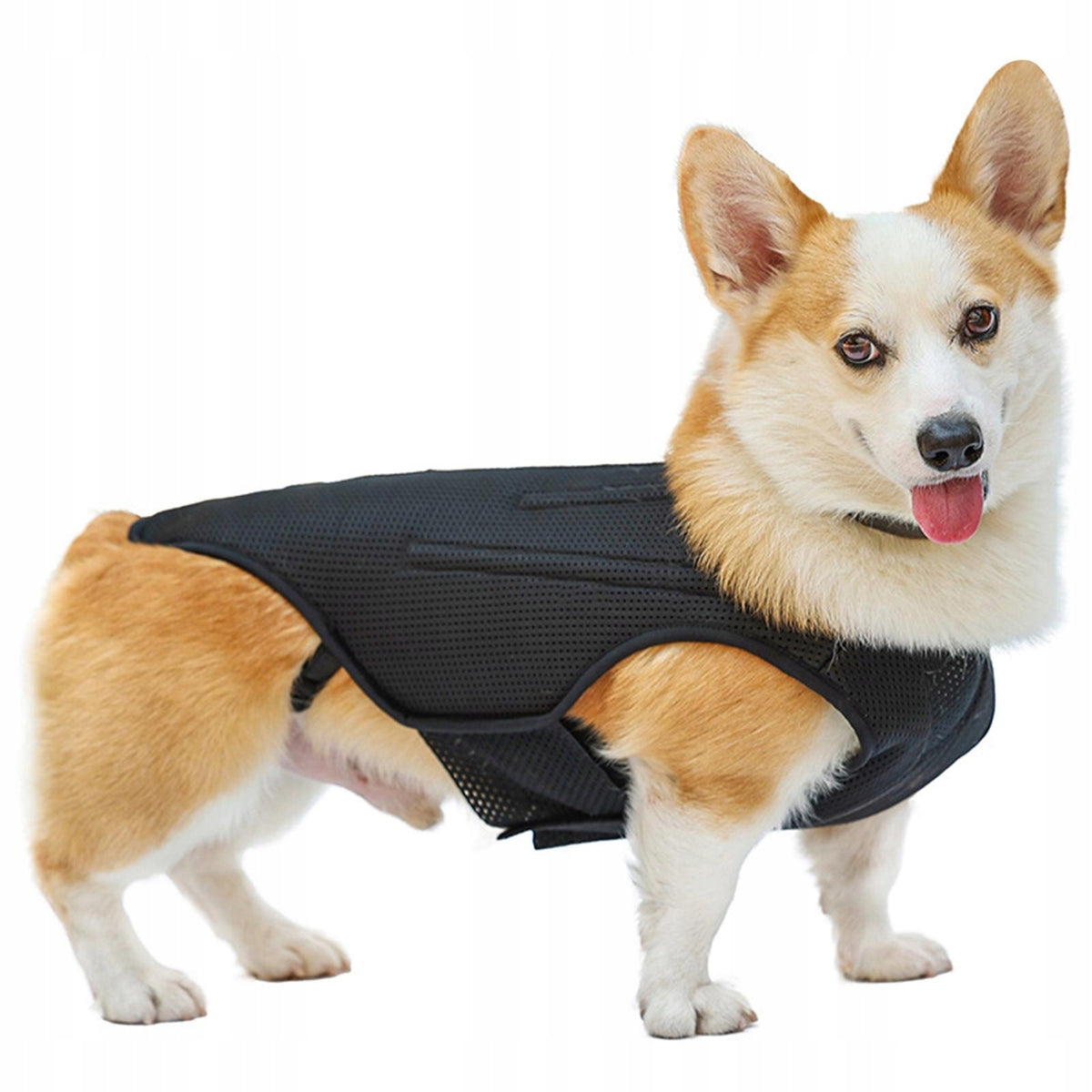 Pet Dog Back Brace Full Body Harness Dog Back Protector for Various Sizes S Packaging status original
