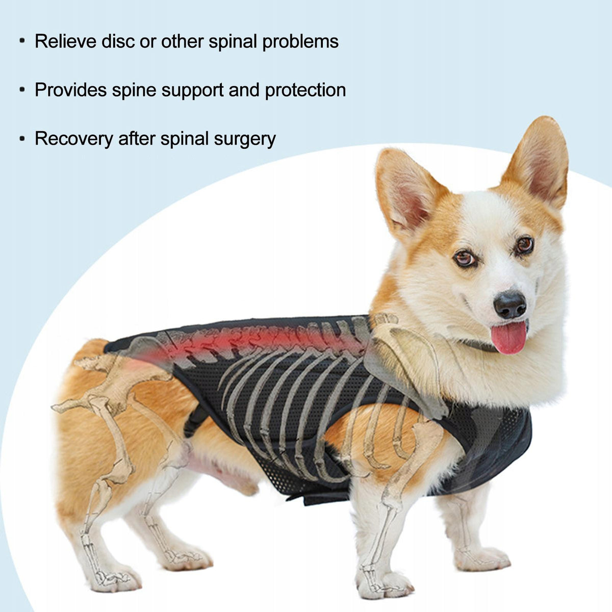 Pet Dog Back Brace Full Body Harness Dog Back Protector for Various Sizes S