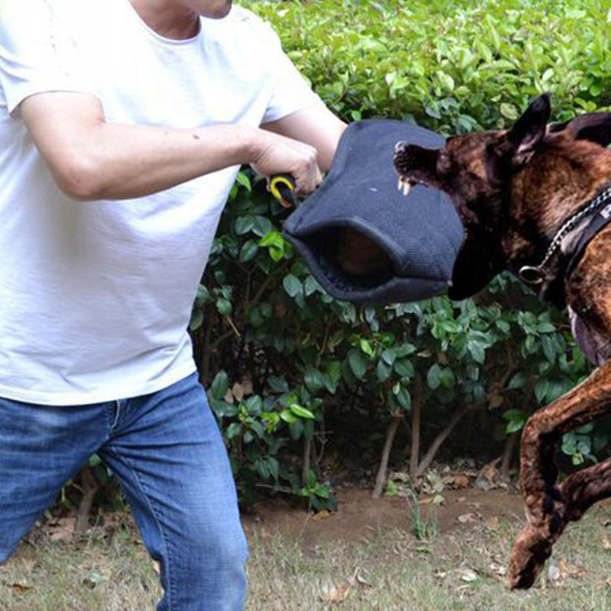 Pet Dog Bite Sleeve Dog Chew Toy Playing Toy Training Arm Protection for Packaging status original