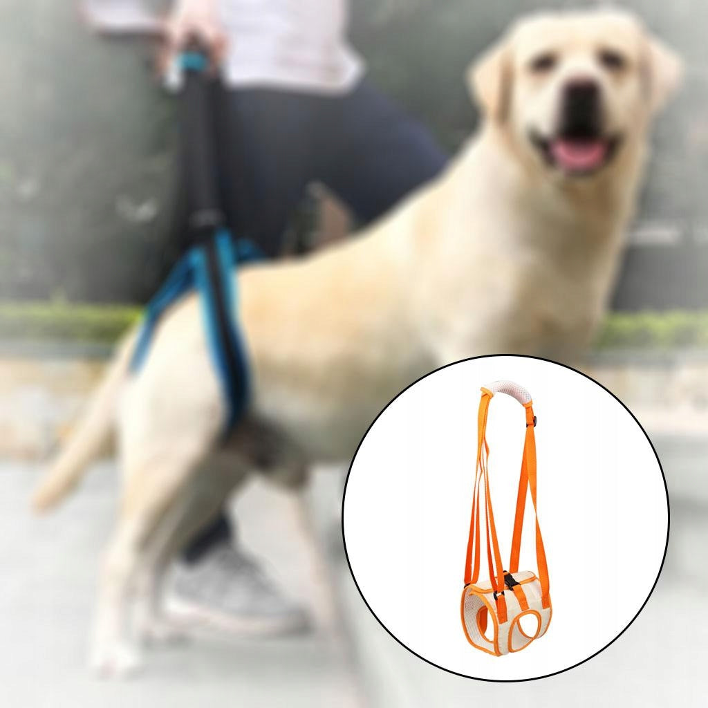 Pet Lift Sling Rear Legs Hip Support Lifting Harness Assist Band Belt S Manufacturer no brand