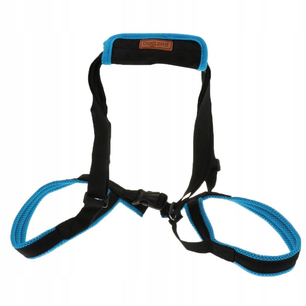 Pet Lift upport Harness W/ Handle For Older or Injuries Hind Leg Lifting S Brand DogLemi