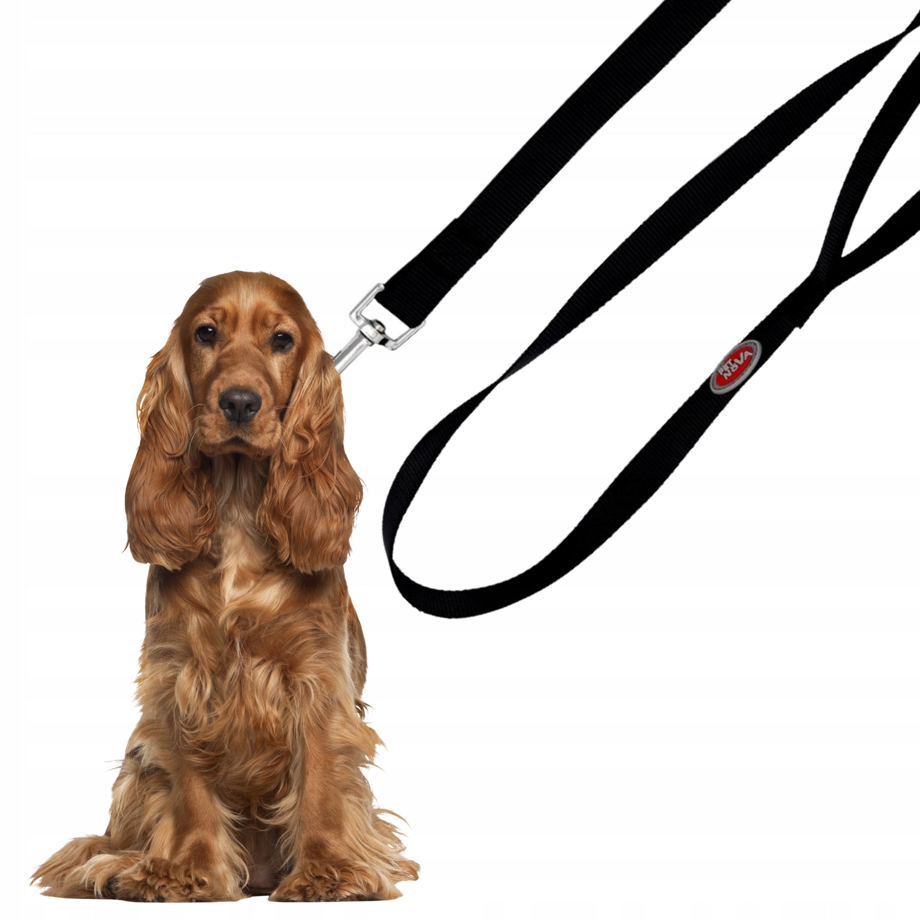 Pet Nova Dog Leash for Small and Large Dogs 4-20kg Black 120cmx2cm Manufacturer code L-NEO-BLACK-L