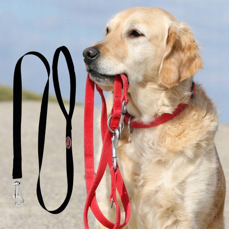 Pet Nova Dog Leash for Small and Large Dogs 4-20kg Black 120cmx2cm Material fabric