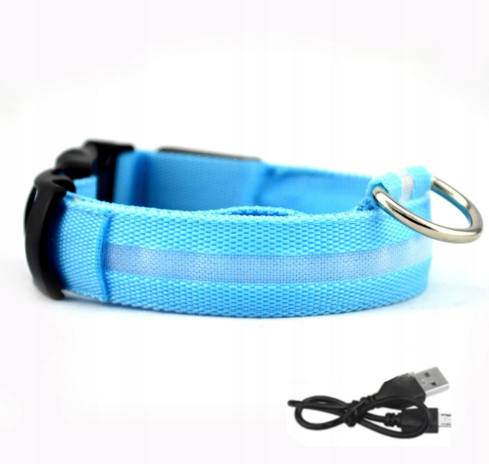 Pet collar DOGS LED Waterproof with USB Cable BLUE XL 52-60cm