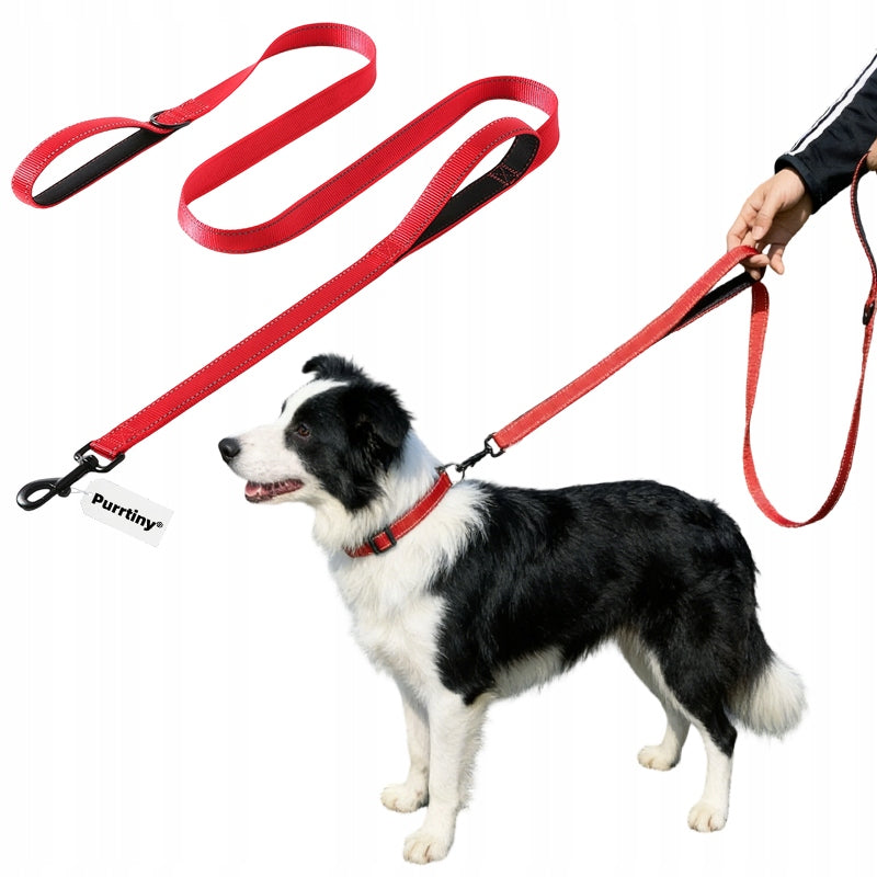 Pet leash, reflective leash for large and medium dogs2M