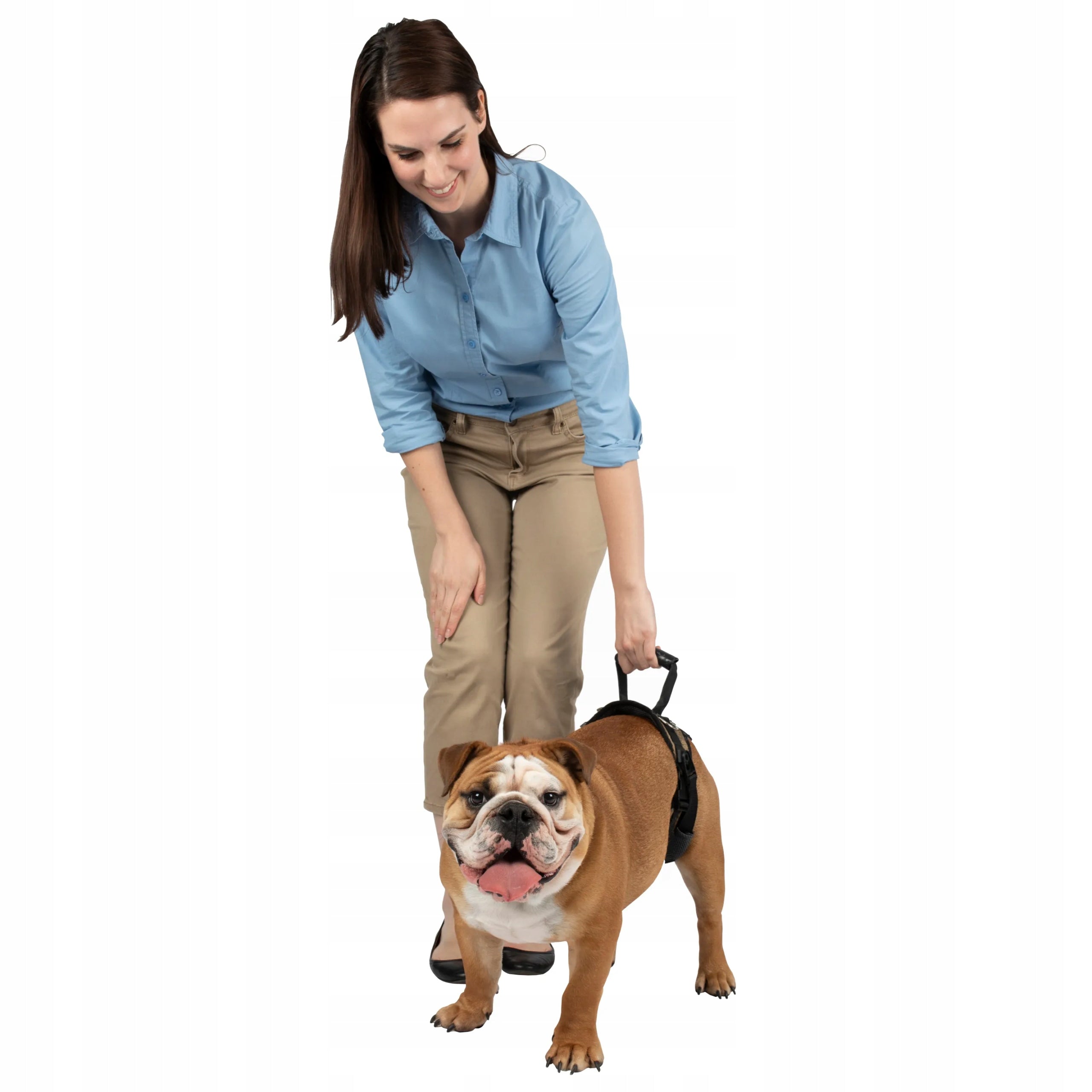 PetSafe CareLift Harness Dog Rehabilitation Harness, Hip Harness M Packaging status original