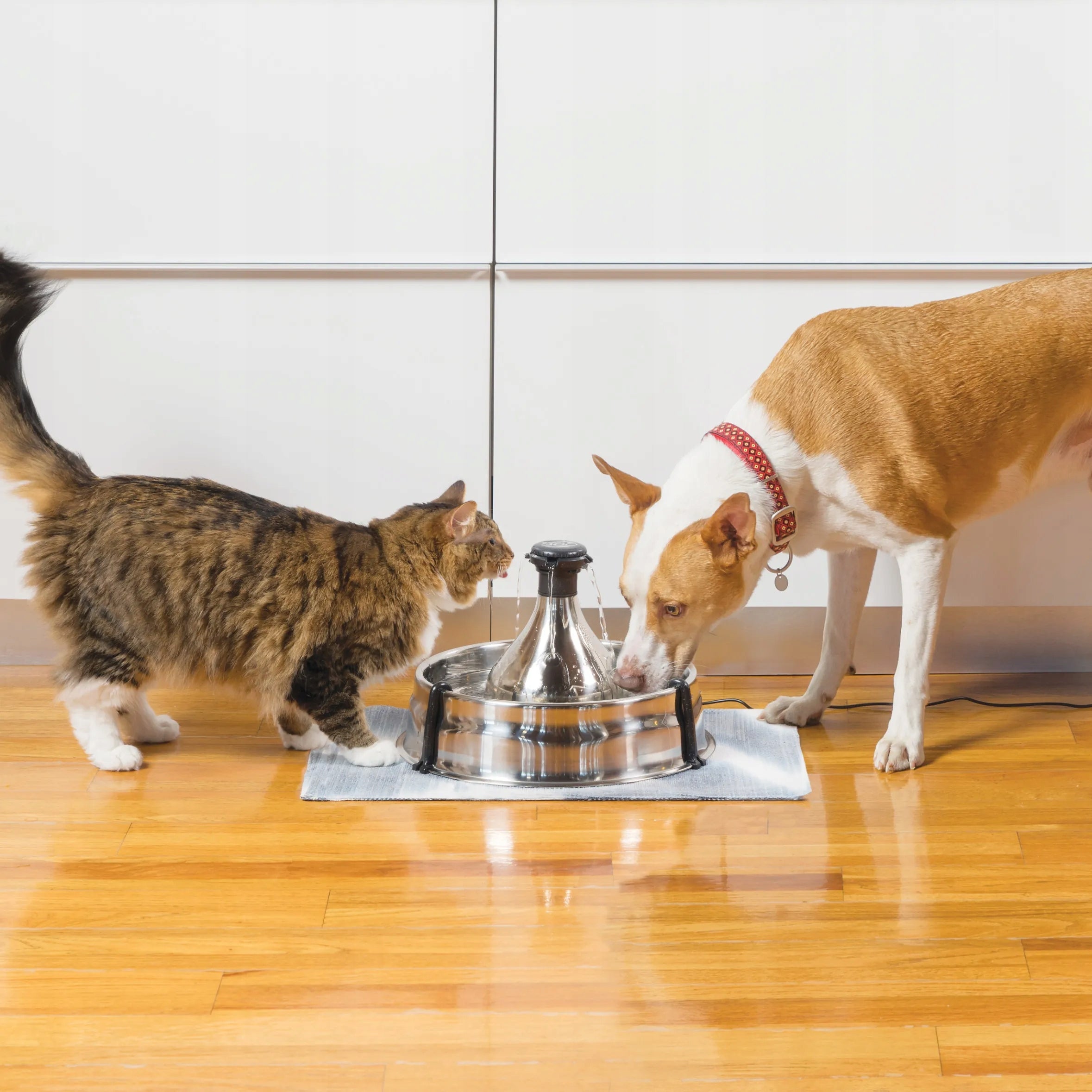 PetSafe Drinkwell 360 Pet Fountain 3,8L large fountain for cat and dog Capacity 3.8 l