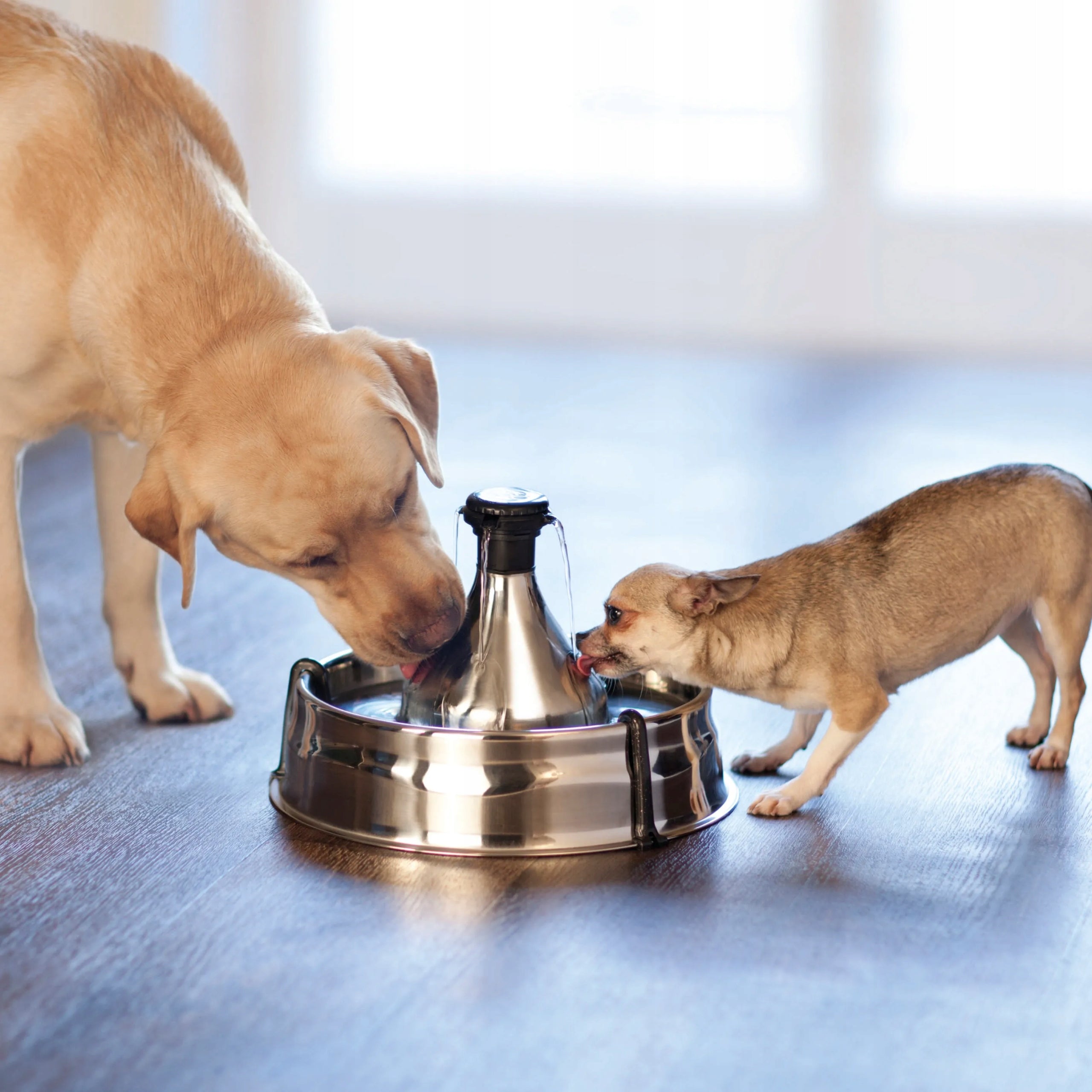 PetSafe Drinkwell 360 Pet Fountain 3,8L large fountain for cat and dog Manufacturer code D360SS-EU-45