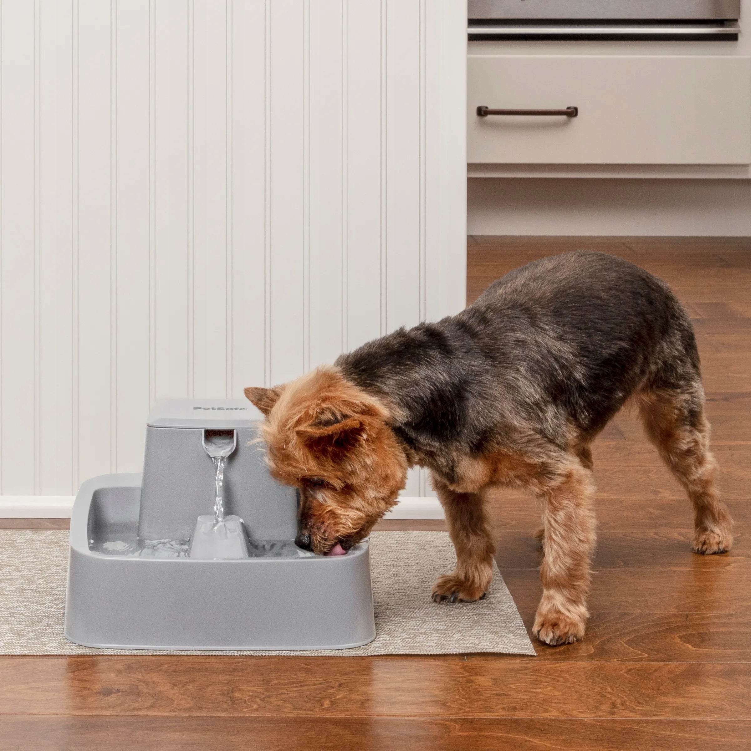 PetSafe Drinkwell Pet Fountain - Small 1.8L Water Fountain for Cats and Dogs Capacity 1.8 l