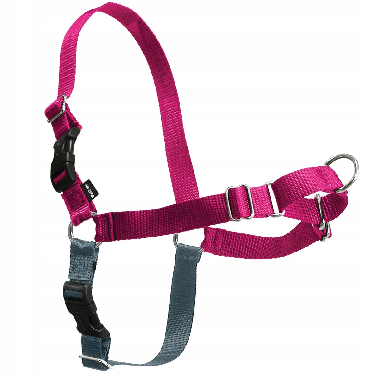 PetSafe Easy Walk Harness Raspberry Dog Harness and Leash, Pink L Set Brand PetSafe