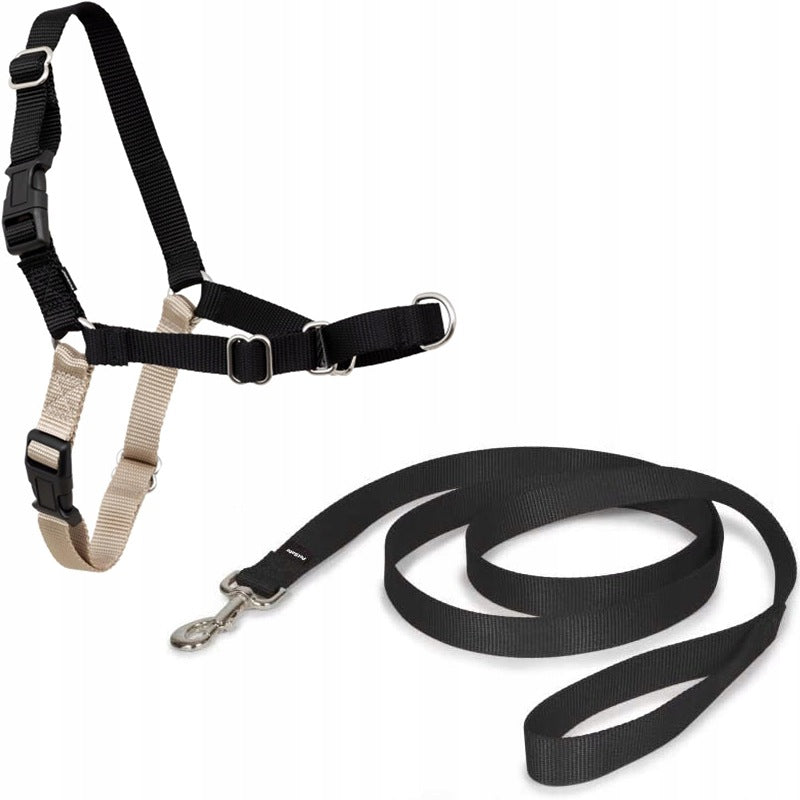 PetSafe Easy Walk dog harness L and leash 1.8m