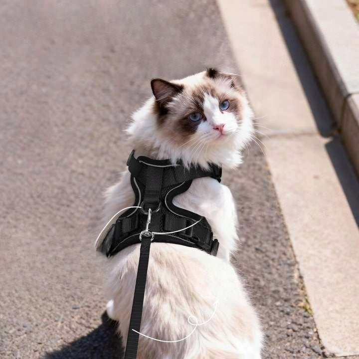 PetSafe EasyWalk Cat Harness Adjustable Security Manufacturer code petcat
