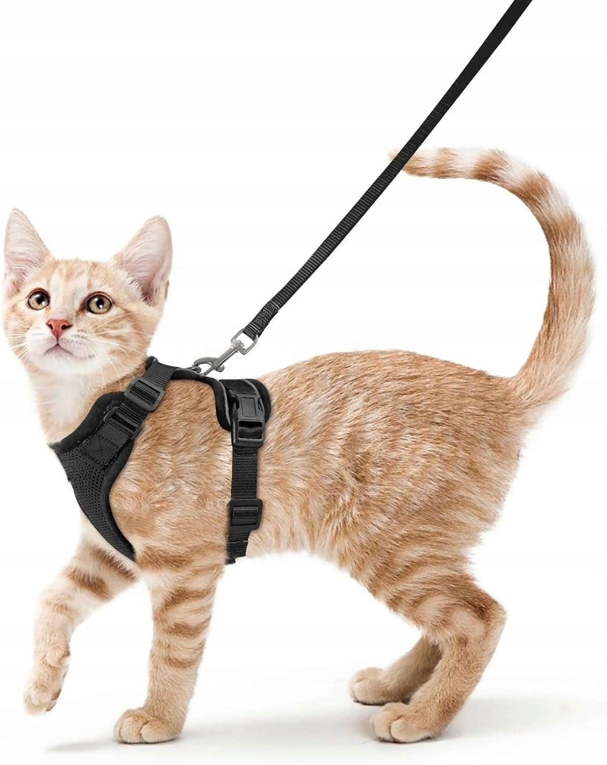 PetSafe EasyWalk Cat Harness Adjustable Security