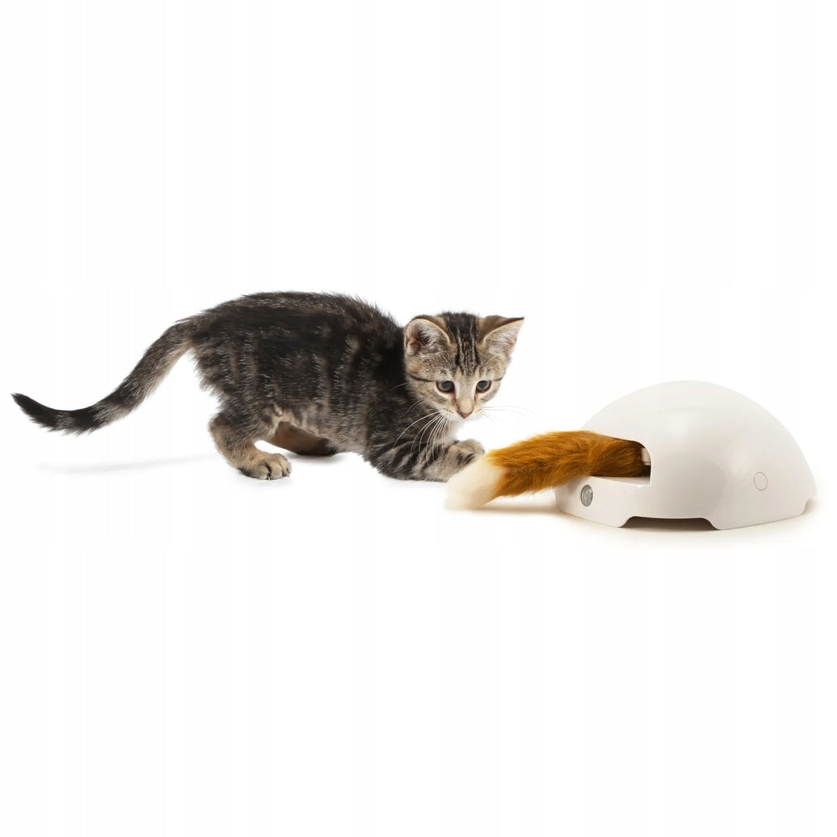 PetSafe Fox Den Automatic Cat Teaser Interactive Cat Toy, Fox Brand PetSafe