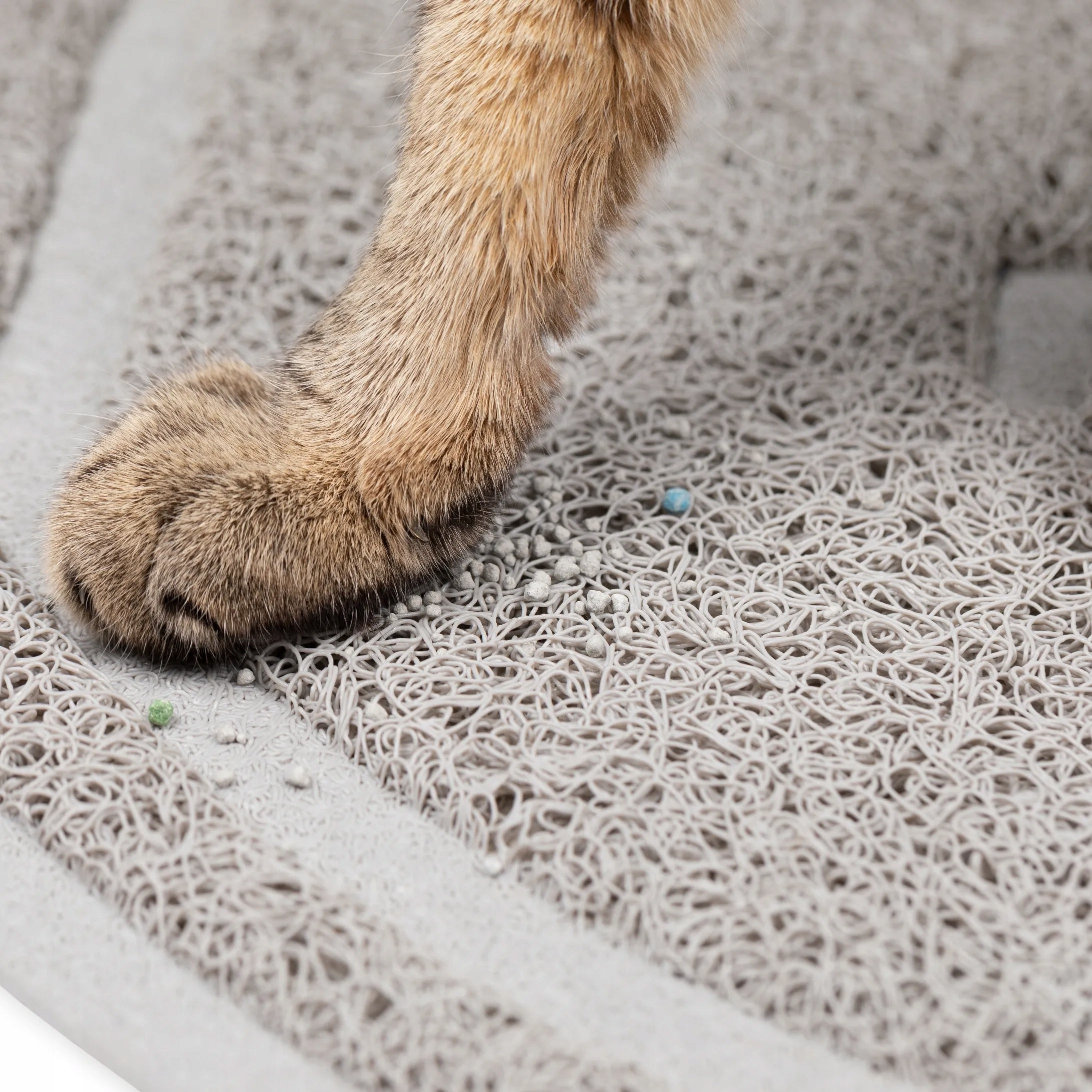 PetSafe Scoop Free Litter Box accessories for self-cleaning litter box PetSafe Manufacturer code PTS-180000