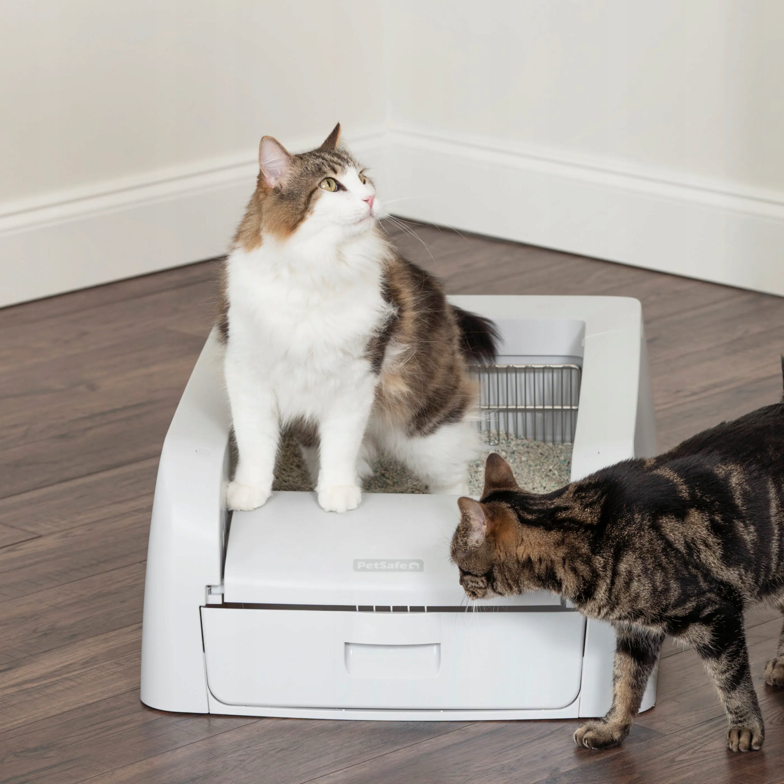 PetSafe Scoop Free self-cleaning litter box for cat, with motion sensor Trade name PetSafe Scoop Free Self-Cleaning Litter Box