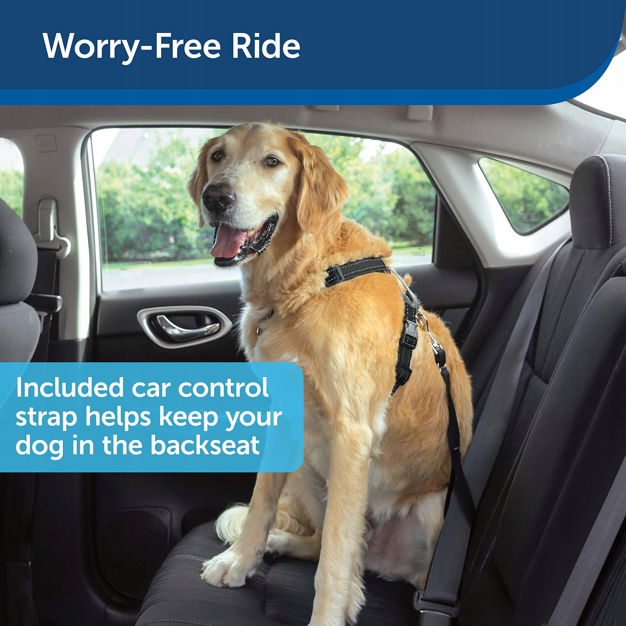 PetSafe 3in1 Geschirr und Autosicherheitsgurt für Hunde, S 