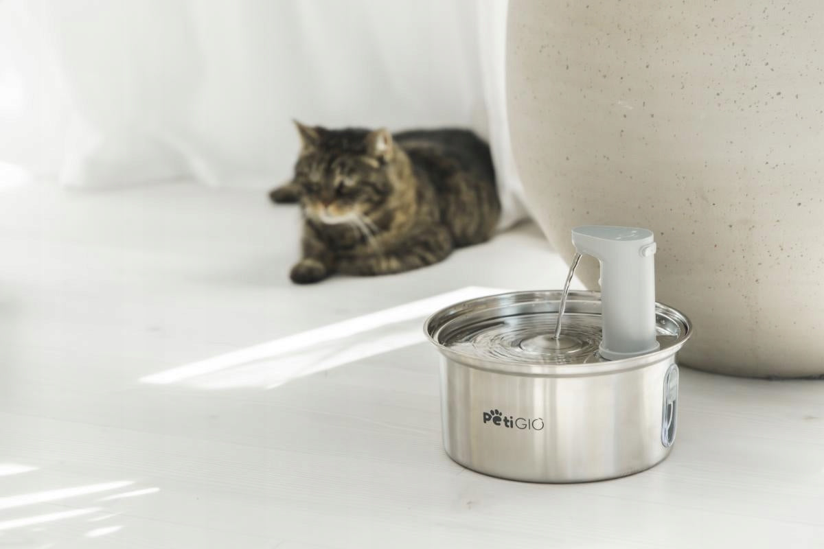PetiGio Fountain Drinker for Cat Dog Steel Motion Sensor Wireless Packaging status original