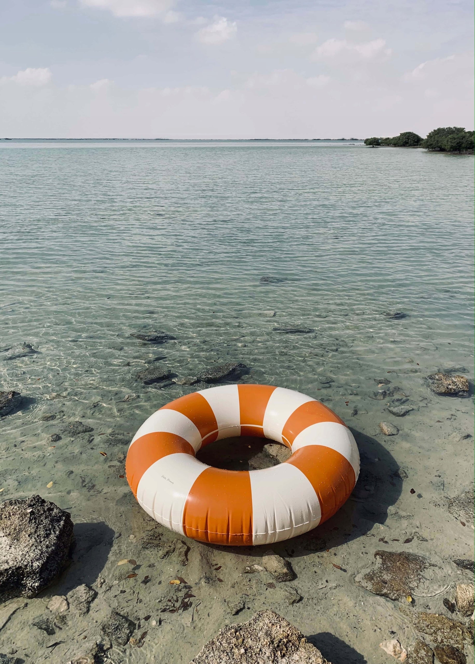 Petites Pommes Inflatable Swimming Wheel Tangerine 120cm Packaging status original