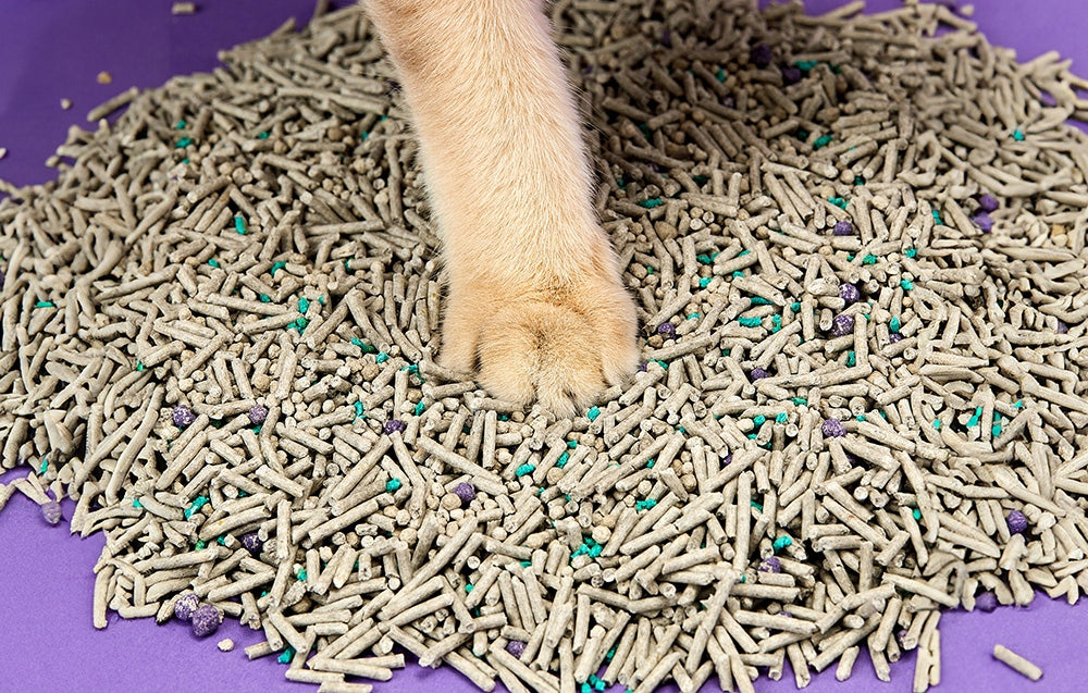 Petkit Mixed 2x Cat Cuvette Litter 7l Unscented 2mm Clumping Brand Petkit